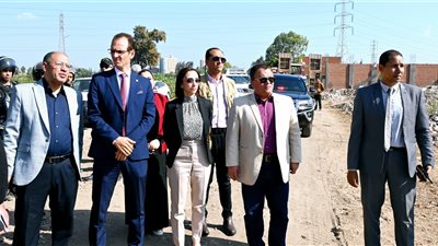 إزالة 3 حالات تعدٍ على الأراضي الزراعية وأملاك الدولة بمركز دمنهور