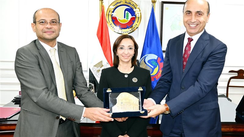 رءيس البورصة المصرية،