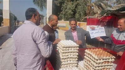 الأبيض بـ150 والأحمر بـ155 جنيها، سكرتير بني سويف يتفقد منافذ بيع البيض