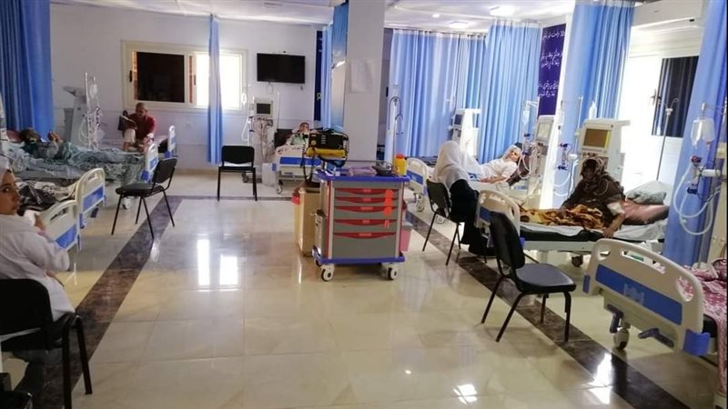 وحدات الكلى في الدقهلية،