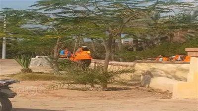 بعد ضبط دجال القرين، العثور على أعمال سحر وشعوذة بمقابر المدينة بالشرقية (صور)