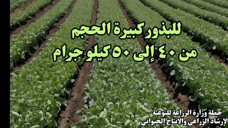 الزراعة، فيتو