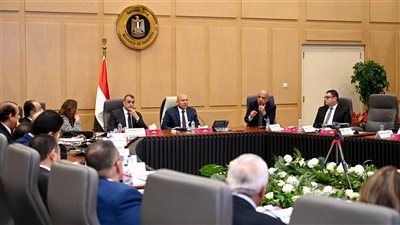 وزير الصناعة يدعو لتصنيع إطارات السيارات بهدف زيادة نسبة المكون المحلي 