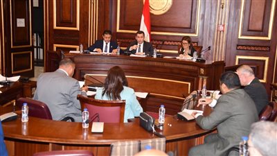 صناعة النواب تنتهي من مناقشة مواد مشروع قانون الهيئة المصرية للثروة المعدنية