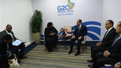 السيسي: حريصون على دعم الجهود التنموية في دول حوض النيل