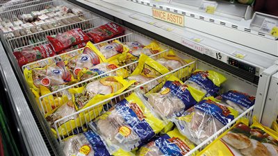  محافظ قنا يشهد ذبح دفعة جديدة من الدواجن بمشروعات الأمن الغذائي