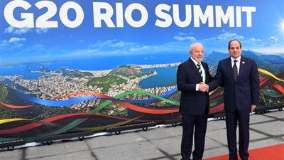 حصاد نشاط السيسي في اليوم الأول لقمة مجموعة العشرين بالبرازيل (فيديو وصور)