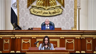 التنمية المحلية: رفع 6 ملايين طن مخلفات وزراعة 22.5 مليون شجرة حتى 2027