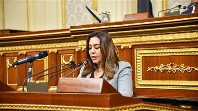 وزيرة التنمية المحلية أمام مجلس النواب: 31.3 مليار جنيه لمشروعات استثمارات دواوين المحافظات.. تشغيل المرحلة الأولى من مبادرة 
