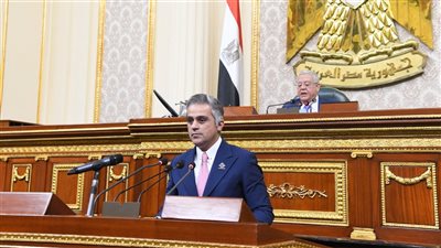 النواب يقر منحة بقيمة مليون و831 ألف يورو لصالح ذوي الإعاقة 