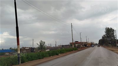 أمطار ورياح وأمواج خطرة بـ 4 شواطئ، الأرصاد تحذر من الظواهر الجوية المتوقعة اليوم