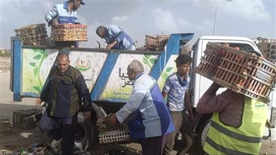 حملات يومية لإزالة المخالفات والإشغالات بدمياط الجديدة