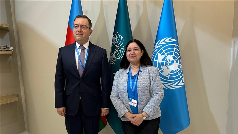 نائبة وزيرة التضامن