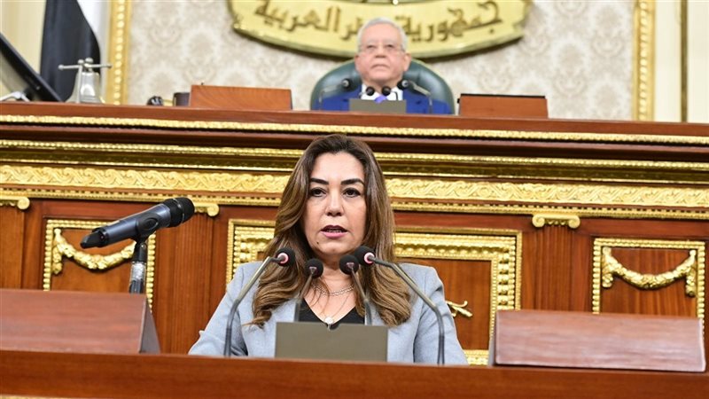 وزيرة التنمية المحلية،