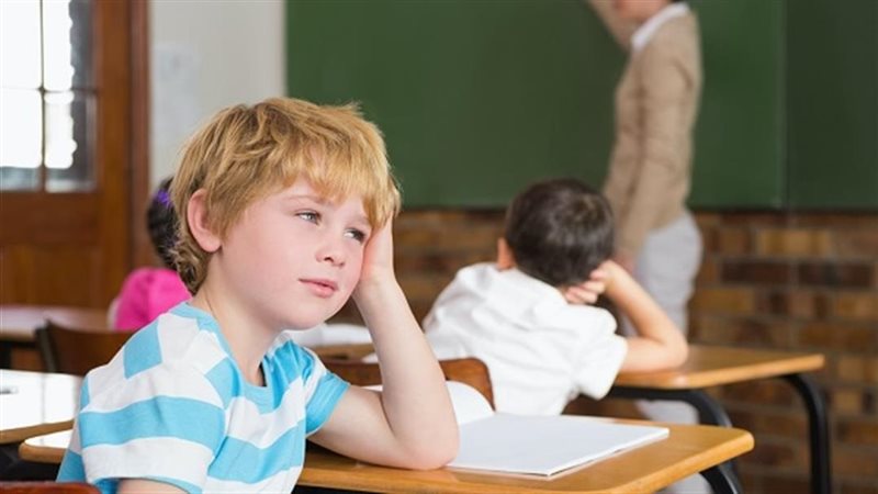 الأطفال فى الدراسة