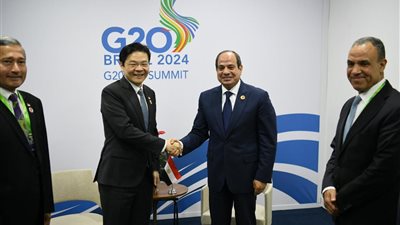 السيسي ورئيس وزراء سنغافورة يبحثان تعزيز التعاون الاقتصادي وزيادة الاستثمارات
