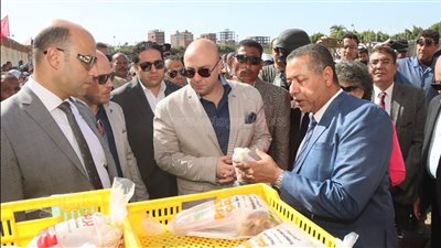 محافظ بني سويف يتابع فعاليات مبادرة بداية جديدة بمركز ببا