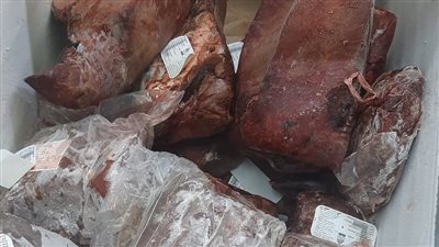 ضبط 3 أطنان كبدة غير صالحة للاستهلاك الآدمي داخل إحدى الثلاجات بالإسكندرية 