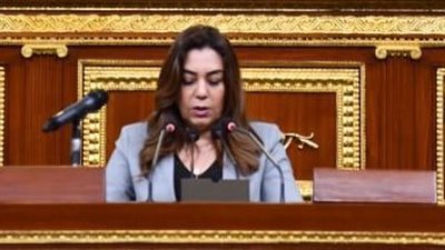 وزيرة التنمية المحلية تتابع مع محافظ البحيرة توفير السلع الغذائية بأسعار مخفضة