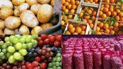 6.7 مليون طن صادرات مصر الزراعية منذ بداية 2024.. الموالح والبطاطس على رأس القائمة.. وإستراتيجية حكومية لتسهيل استخدام التكنولوجيا للنهوض بالقطاع