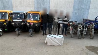 حبس تشكيل عصابي بتهمة سرقة الدراجات النارية والتكاتك بالبحيرة