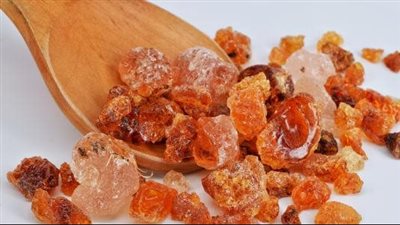  اللبان الدكر يعالج التهابات اللثة ويساعد على الاسترخاء ويقوي المناعة 