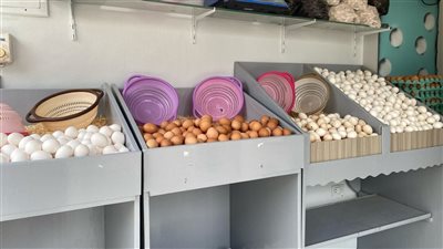 انخفاض يصل لـ 7 جنيهات في أسعار البيض اليوم الأربعاء