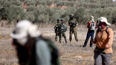 إسرائيليون يعتدون على فلسطينيين ويحاولون سرقة مواشيهم شرق بيت لحم