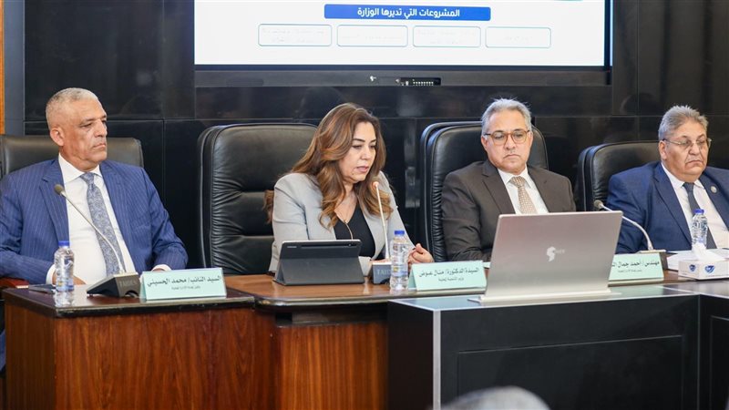 منال عوض، فيتو