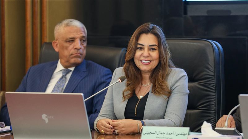 وزير التنمية المحلية،