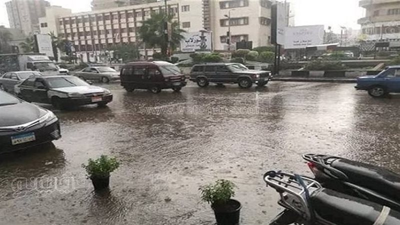 حالة الطقس غدا، فيتو