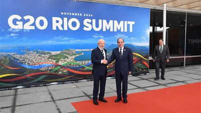 حصاد مشاركة الرئيس السيسي في قمة مجموعة العشرين بالبرازيل (فيديو)