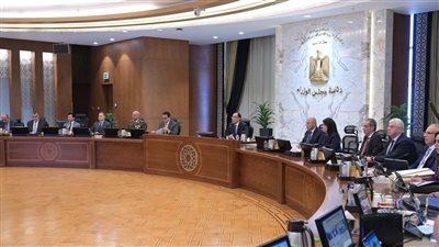 أبرزها تغليظ عقوبة سرقة الكهرباء وقانون المسئولية الطبية، 6 قرارات عاجلة لمجلس الوزراء 