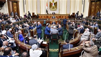 مجلس النواب يوافق على مشروع قانون الضمان الاجتماعى من حيث المبدأ