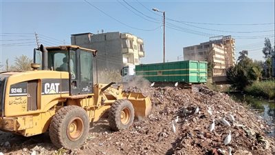 رفع 2200 طن مخلفات بلدية وناتج تطهير وتجمعات قمامة في الدقهلية (صور)