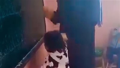 تحرك برلماني بعد فيديو واقعة تعذيب مدرسة لطفلة في طنطا