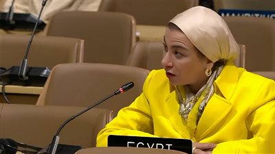 وزيرة البيئة تسلم رئاسة مؤتمر cop 29 نتائج مشاورات الهدف الجديد لتمويل المناخ