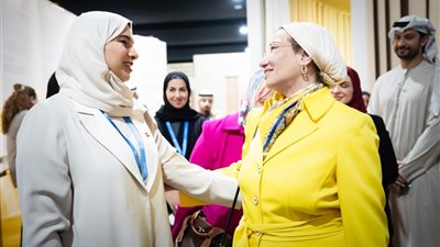 لقاءات ثنائية لوزيرة البيئة على هامش مفاوضات مؤتمر الأطراف cop29 للتغيرات المناخية