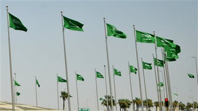 شاهد، لحظة سقوط سيارة من أعلى جسر في السعودية