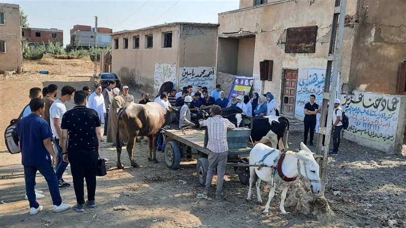 بحوث الحيوان 