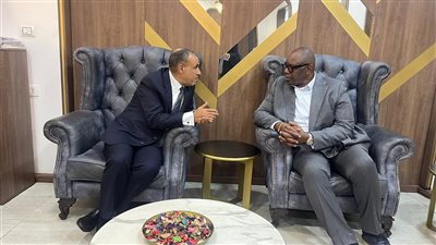 وزير الخارجية: الحكومة المصرية حريصة على تعزيز التكامل الاقتصادي مع الدول الأفريقية