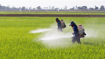 صدمة للمزارعين، ارتفاع يصل لـ 2460 جنيهًا في أسعار طن الأسمدة بالأسواق