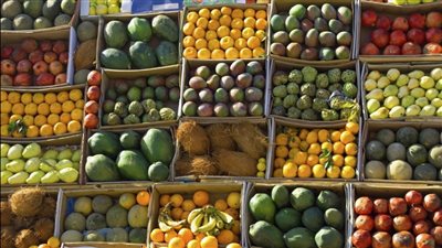 مفاجأة في سعر المانجو العويس بسوق العبور، وهذه أسعار الفاكهة اليوم