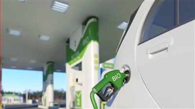 كنز جديد في مصر، خبير يكشف عن مشروع بديل للسولار يقلل أزمة الوقود