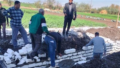 إزالة فورية لـ حالتي تعد بقرية دندرة فى قنا