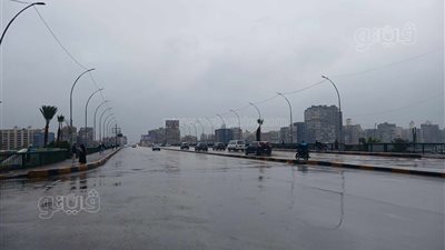 سقوط أمطار على عدد من المناطق في القاهرة والجيزة (فيديو وصور) 