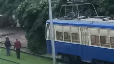 توقف حركة ترام الإسكندرية لسقوط شجرة ضخمة بسبب الرياح (صور)