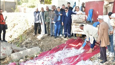 محافظ الدقهلية: نستهدف إلقاء نحو 4 مليون و250 ألف زريعة أسماك