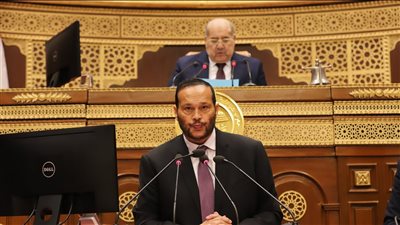 الحكومة تكشف أهداف تعديل سجل المستوردين، فوزي: أي شركة تستورد للإنتاج معفاة من القيد