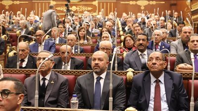 للاستماع إليه في قضية وفاة اللاعب أحمد رفعت.. الشيوخ يوافق على رفع الحصانة عن أحمد دياب.. رئيس المجلس: النائب يرسي قاعدة استثنائية بطلبه لاستكمال إجراءات التحقيق